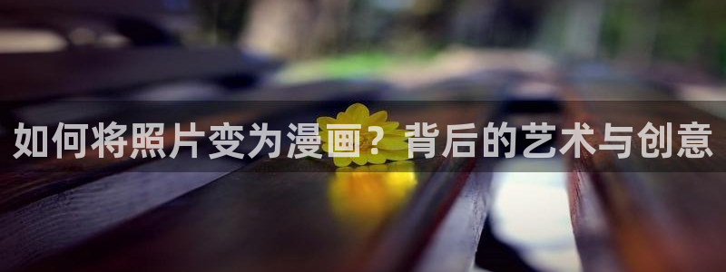 羞羞漫画禁18：如何将照片变为漫画？背后的艺术与创意